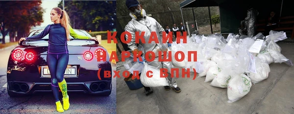 тгк Богородицк